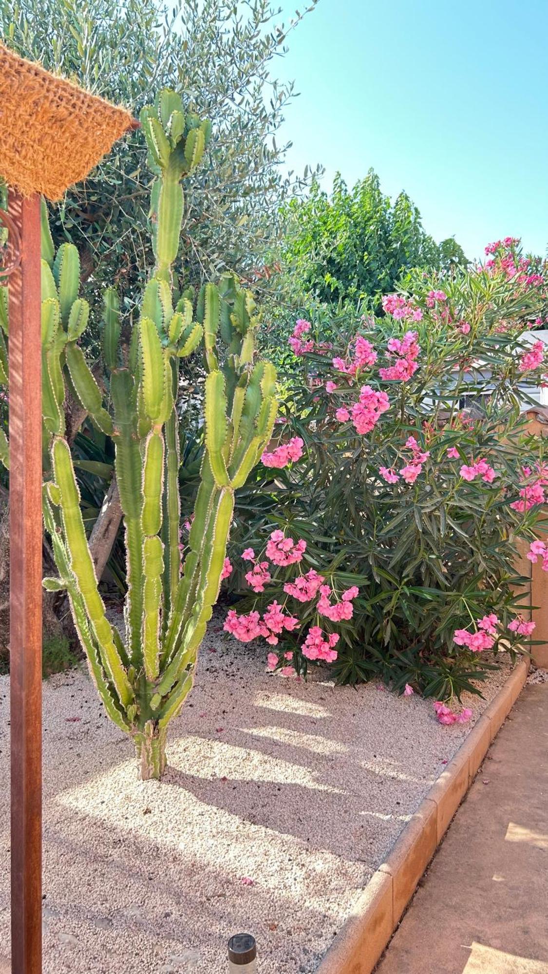 2 Hebergements - 10 Couchages - Parking, Piscine, Jacuzzi - Convivialite Roquebrune-sur Argens Luaran gambar