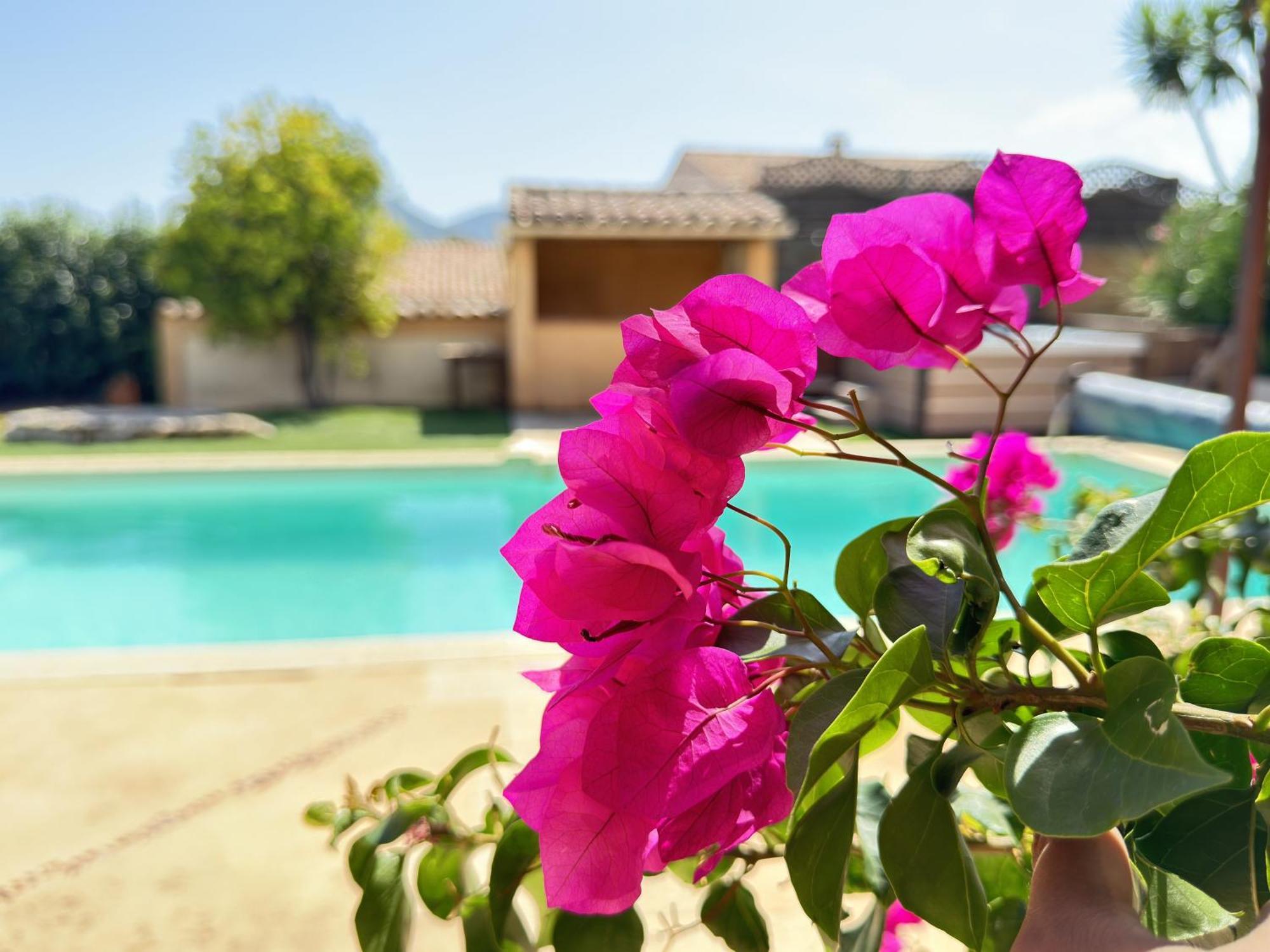 2 Hebergements - 10 Couchages - Parking, Piscine, Jacuzzi - Convivialite Roquebrune-sur Argens Luaran gambar